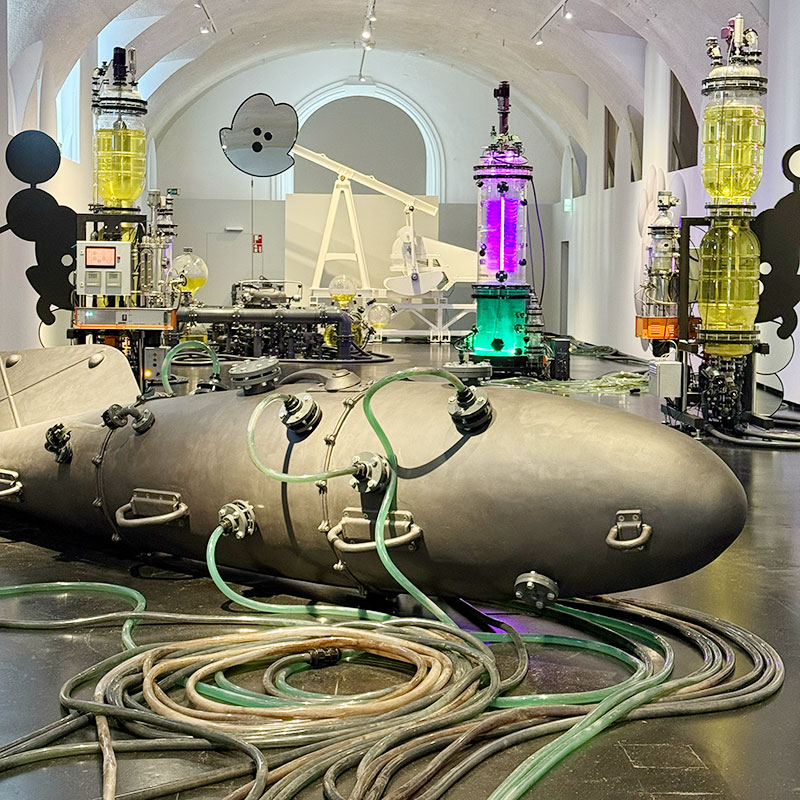 Blick über das Dach eine großen Gebäudekomplexes mit Photovoltaikmodulen