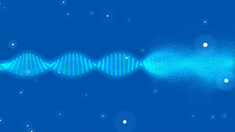 DNA Animation