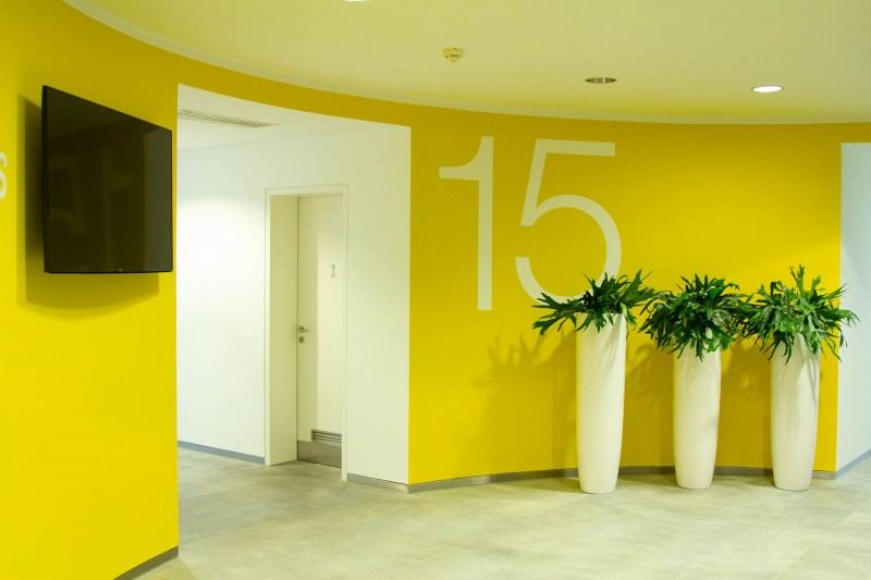 Foyer Pflanze Typographie